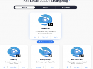 Kali 2022.1安装