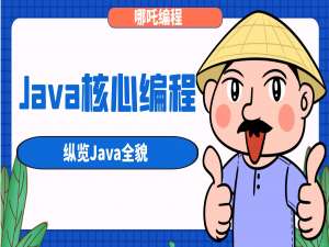 从《Java核心编程》纵览Java全貌
