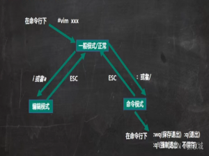 【LInux入门手册】目录结构 常用指令 tmux vim编辑 常用操作