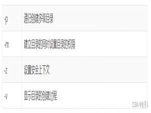 web实验超详细步骤