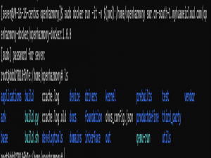 OpenHarmony鸿蒙docker编译环境搭建