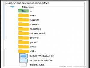安装OpenResty