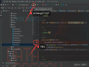 Debug怎么用