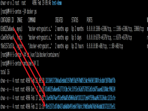 Docker容器启动后，动态修改启动参数