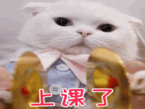 不会吧不会吧，这博主居然用了1.6w+字来讲 JDBC 连接 MySQL，还花了好几个晚上写出来的