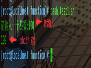 shell编程之函数以及函数中的递归