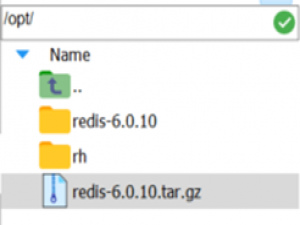 Linux安装Redis6.0.10步骤