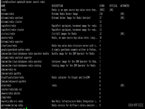 Docker安装Redis