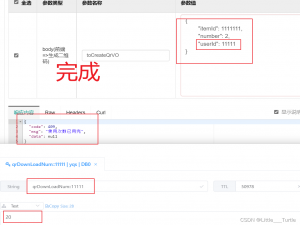 限定当天的可用次数 redis