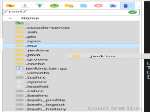 安装jenkins&jenkins文件位置
