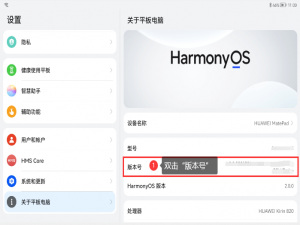 Android Studio连接Huawei Matepad harmonyOS真机调试