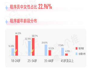 打王者、调小酒、搭乐高，大厂女程序员的别样人生