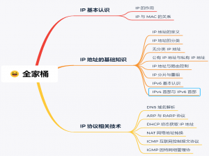 IP 基础知识“全家桶”，45 张图一套带走