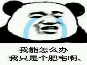 软件工程概述——现在才知道自己喜欢的不是计算机，而是软件开发