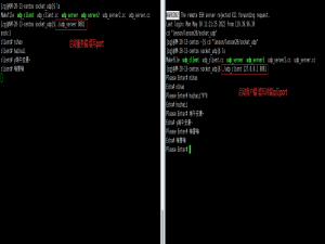 Linux网络编程TCP-UDP套接字