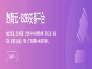 数商云：B2B平台入场，汽车后市场迎来新变局