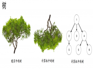 数据结构学习笔记 2-1 二叉树（Binary Tree）与 LeetCode真题（Java）