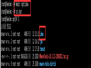 Linux 虚拟机安装 IDEA 教程