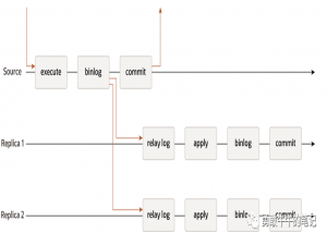 MySQL8.0 MGR介绍