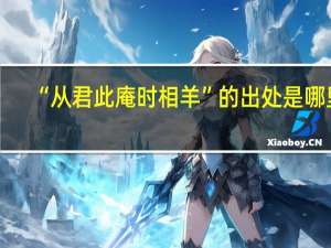 “从君此庵时相羊”的出处是哪里