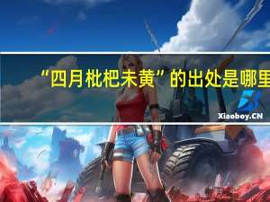 “四月枇杷未黄”的出处是哪里