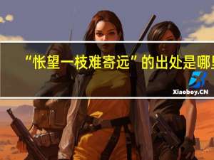 “怅望一枝难寄远”的出处是哪里