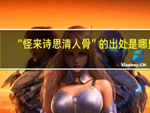 “怪来诗思清人骨”的出处是哪里