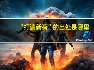 “打遍新荷”的出处是哪里