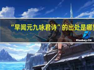 “早闻元九咏君诗”的出处是哪里