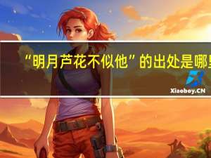 “明月芦花不似他”的出处是哪里