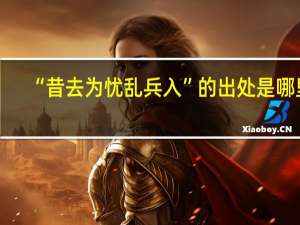 “昔去为忧乱兵入”的出处是哪里