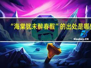 “海棠犹未醉春酲”的出处是哪里