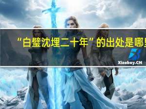 “白璧沈埋二十年”的出处是哪里