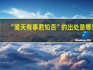 “笺天有事君知否”的出处是哪里