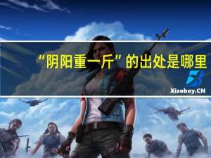 “阴阳重一斤”的出处是哪里