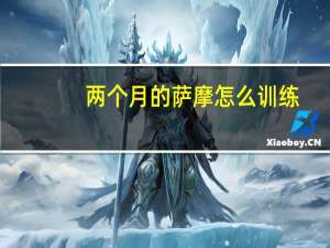 两个月的萨摩怎么训练