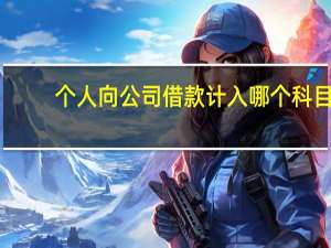 个人向公司借款计入哪个科目
