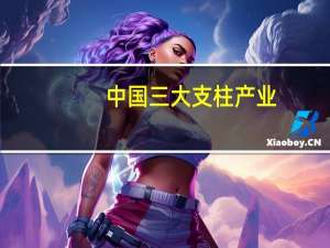 中国三大支柱产业