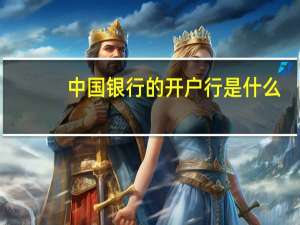 中国银行的开户行是什么