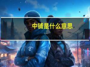中铺是什么意思
