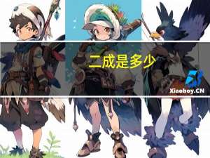 二成是多少