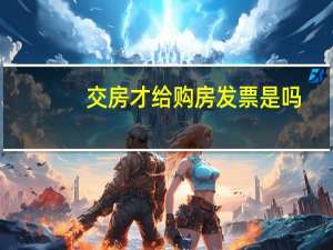 交房才给购房发票是吗