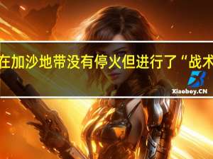 以军说在加沙地带没有停火但进行了“战术性局部暂停”