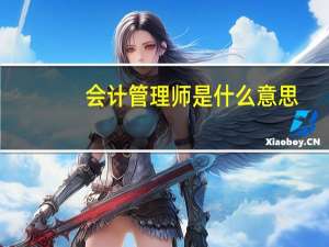 会计管理师是什么意思