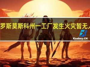 俄罗斯莫斯科州一工厂发生火灾暂无人员伤亡