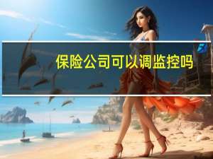 保险公司可以调监控吗