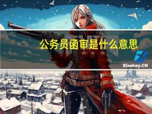 公务员函审是什么意思