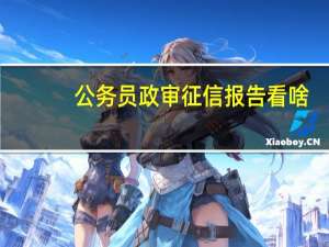 公务员政审征信报告看啥