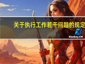 关于执行工作若干问题的规定