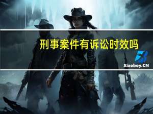 刑事案件有诉讼时效吗